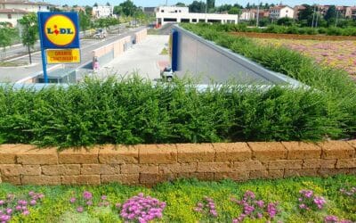 Supermercato LIDL – Faenza
