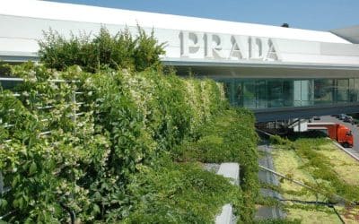 Prada Spa Headquarter – Terranuova Bracciolini (AR)