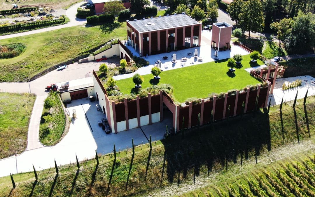 Cantina Tomisa